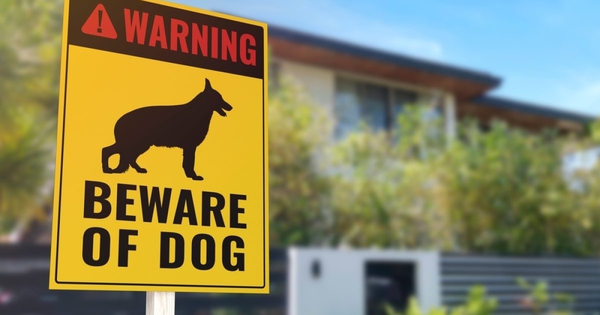 Proposed legislation toughens penalties for dog attacks • Norman Waterhouse
