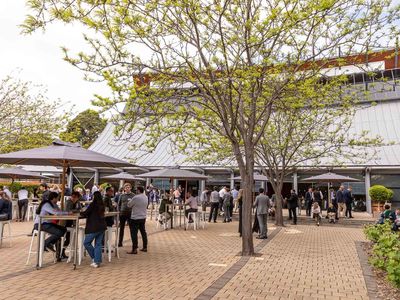 ASB3644 NW LGC Photographer Andrew Beveridge WEB 0173