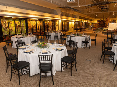 ASB2914 ADVOC ASIA22 HI 177