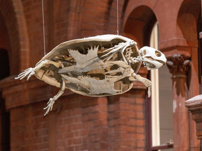 ASB2914 ADVOC ASIA22 HI 180