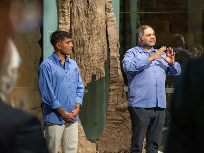 ASB2914 ADVOC ASIA22 HI 248