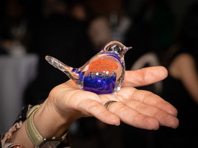 ASB2914 ADVOC ASIA22 HI 355